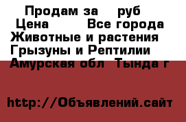 Продам за 50 руб. › Цена ­ 50 - Все города Животные и растения » Грызуны и Рептилии   . Амурская обл.,Тында г.